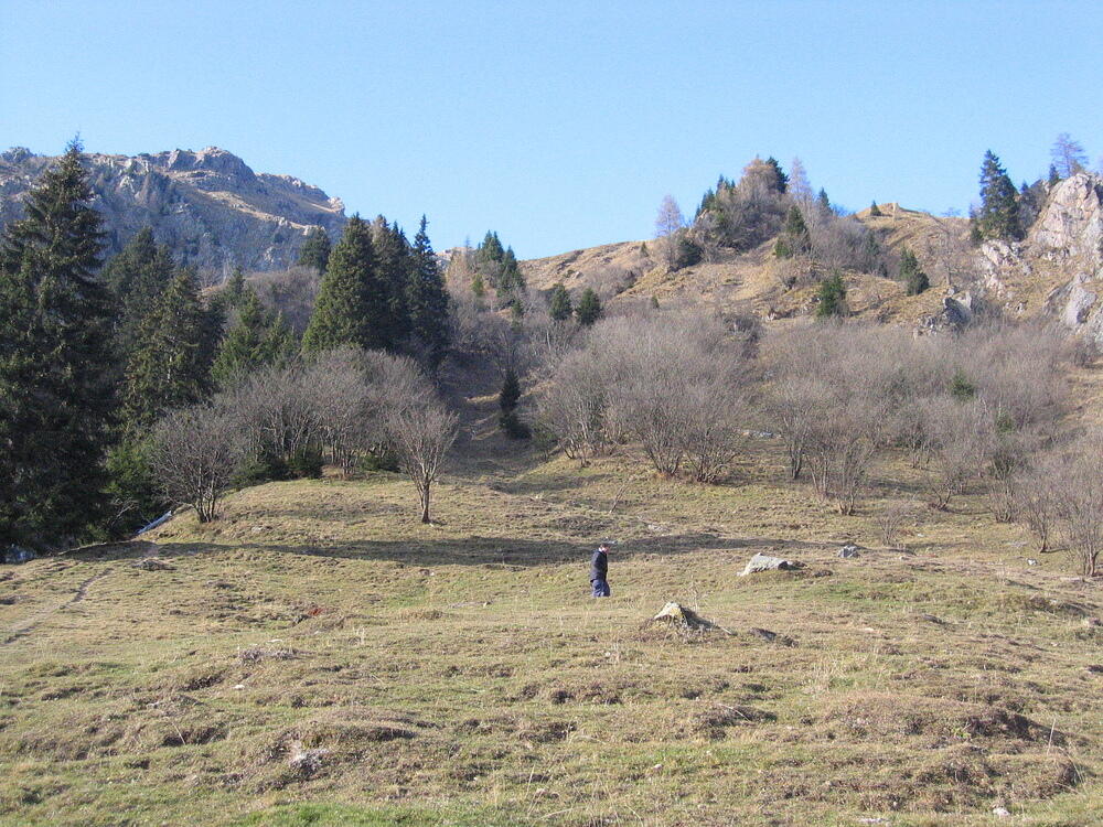 Switchbacking Upward