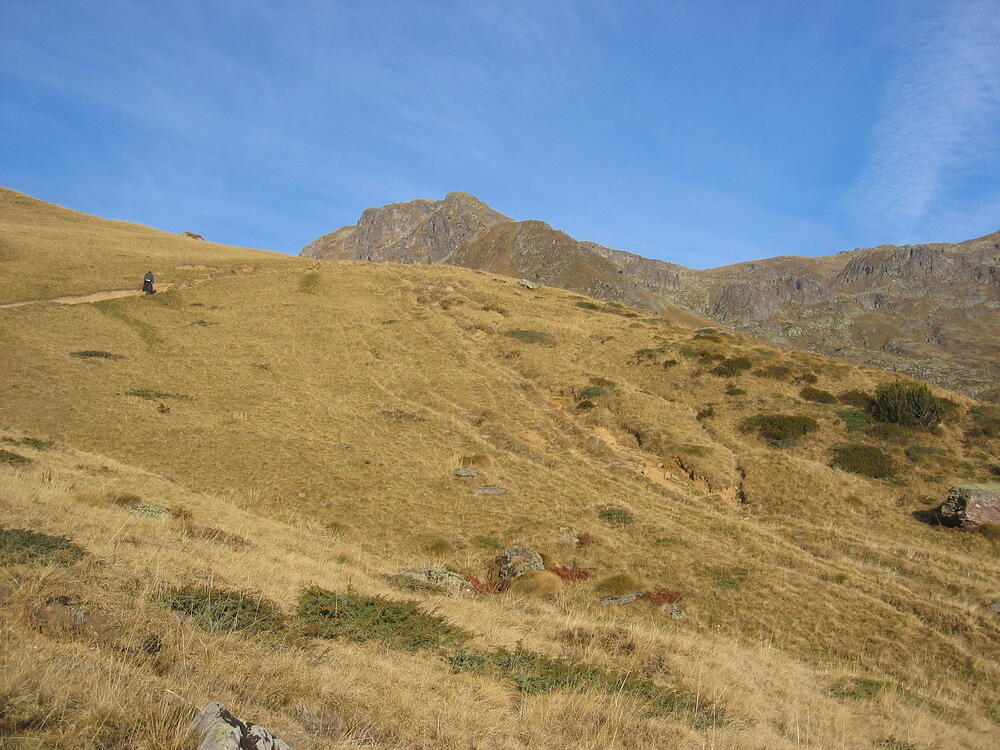 Berck Trudges Onward
