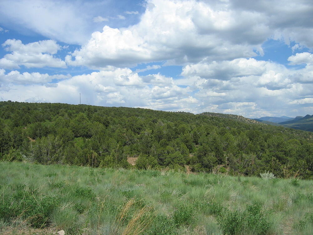 Antennae from the south and below