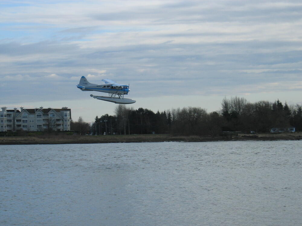 Beaver on Final