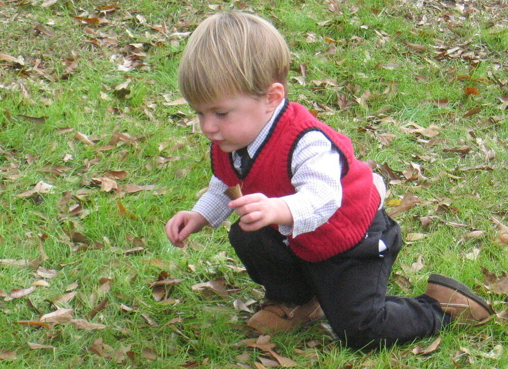Picking up Leaves