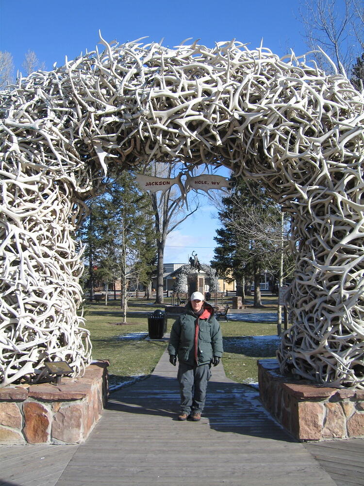 elk antler arch