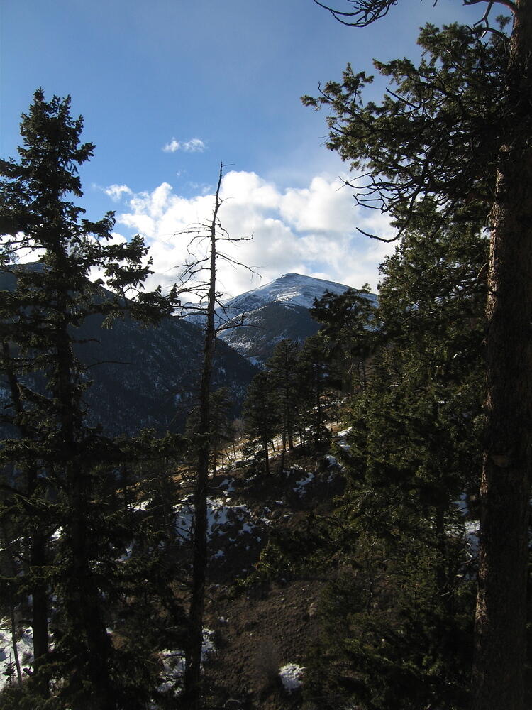 Trail View that Amanda didn't get to see.