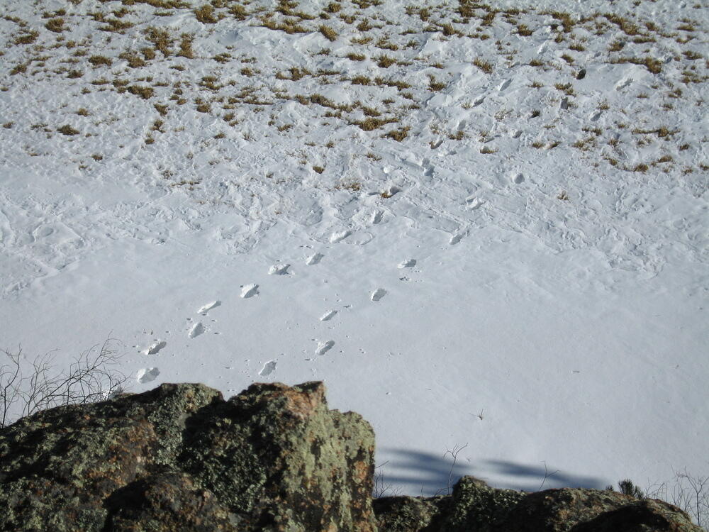 Berck and Ben left Footprints