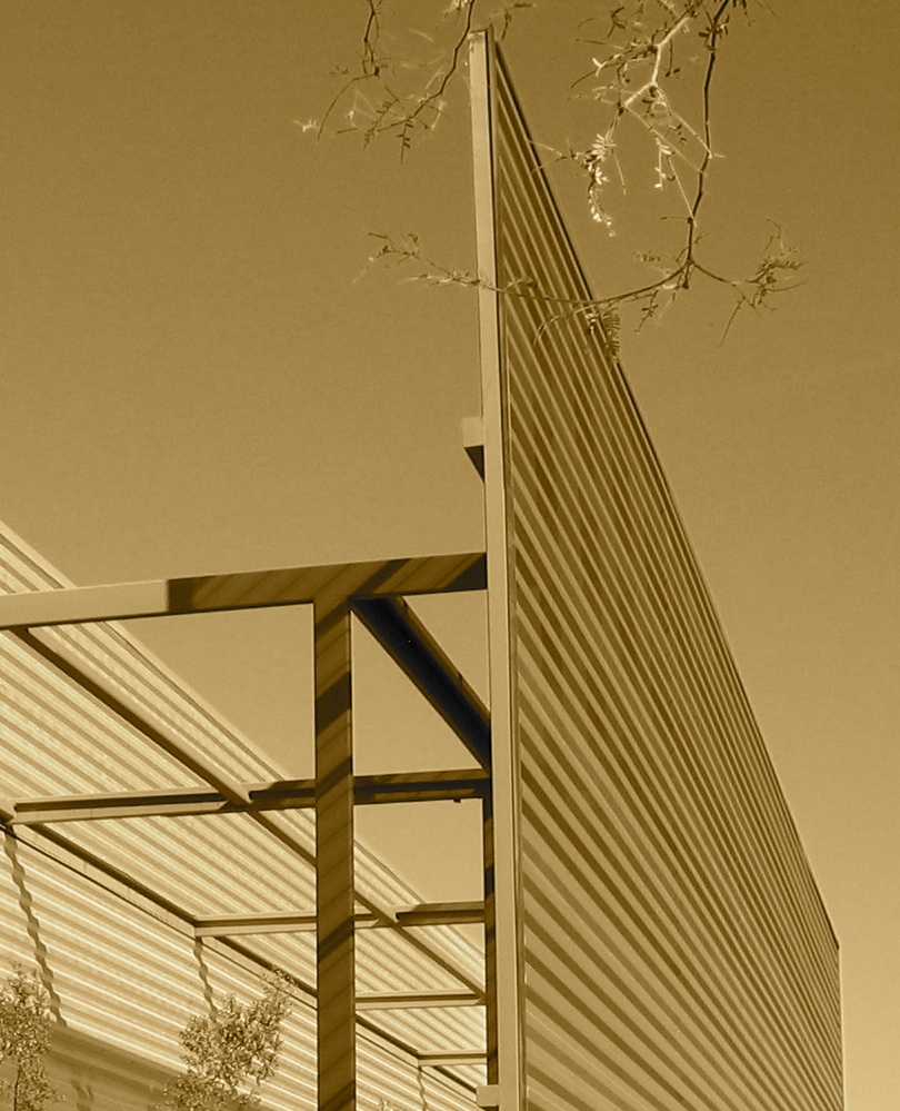 Architecture Sepia Detail