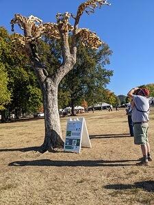 Centennial Park, Nashville, TN