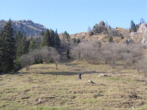 Switchbacking Upward