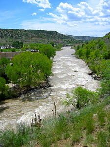 Animas River