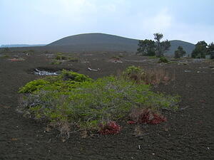 Outside the Kilauea Crater