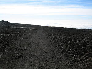 Trail Following the Road