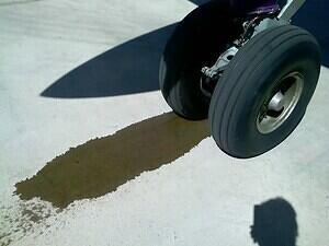 Barney sprung a Leak