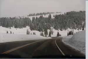 south-dakota.png