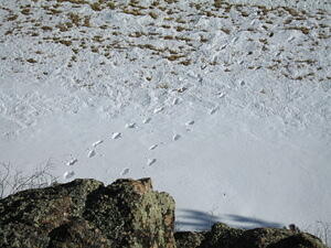Berck and Ben left Footprints
