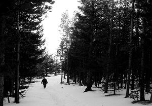 Trudging in black and white