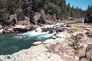 Flathead River remnants