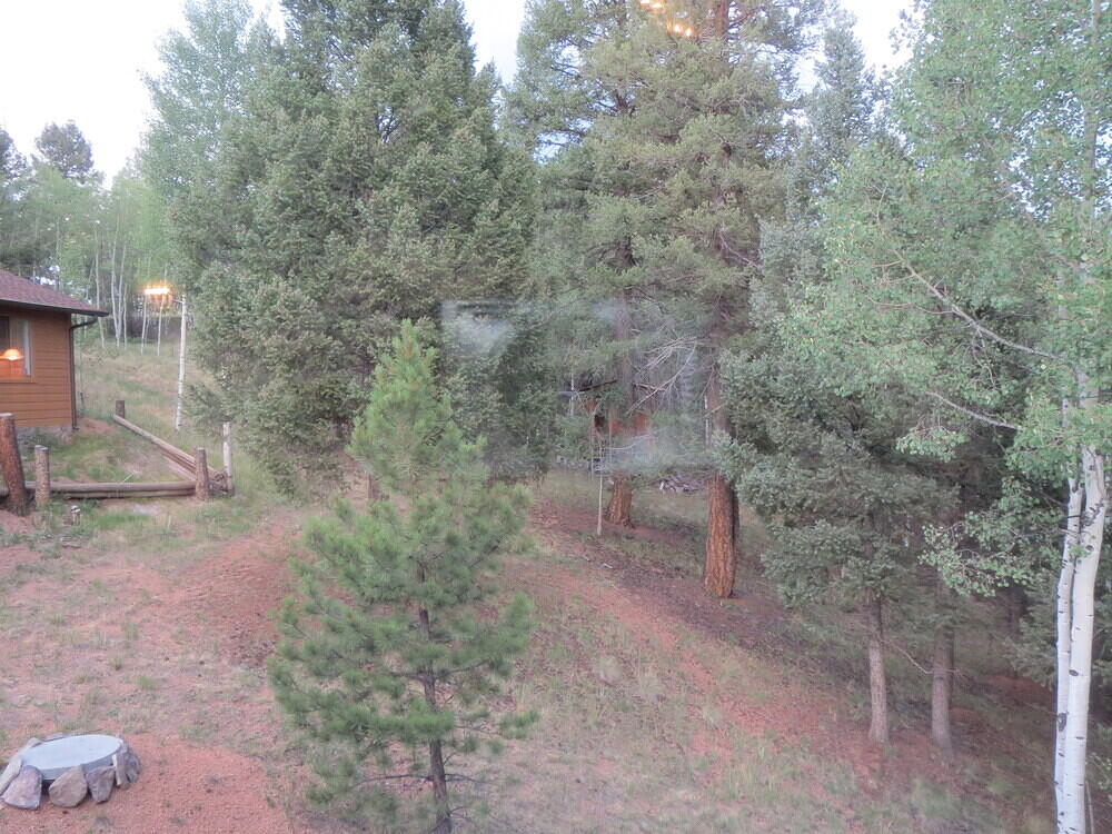 IMG 1386