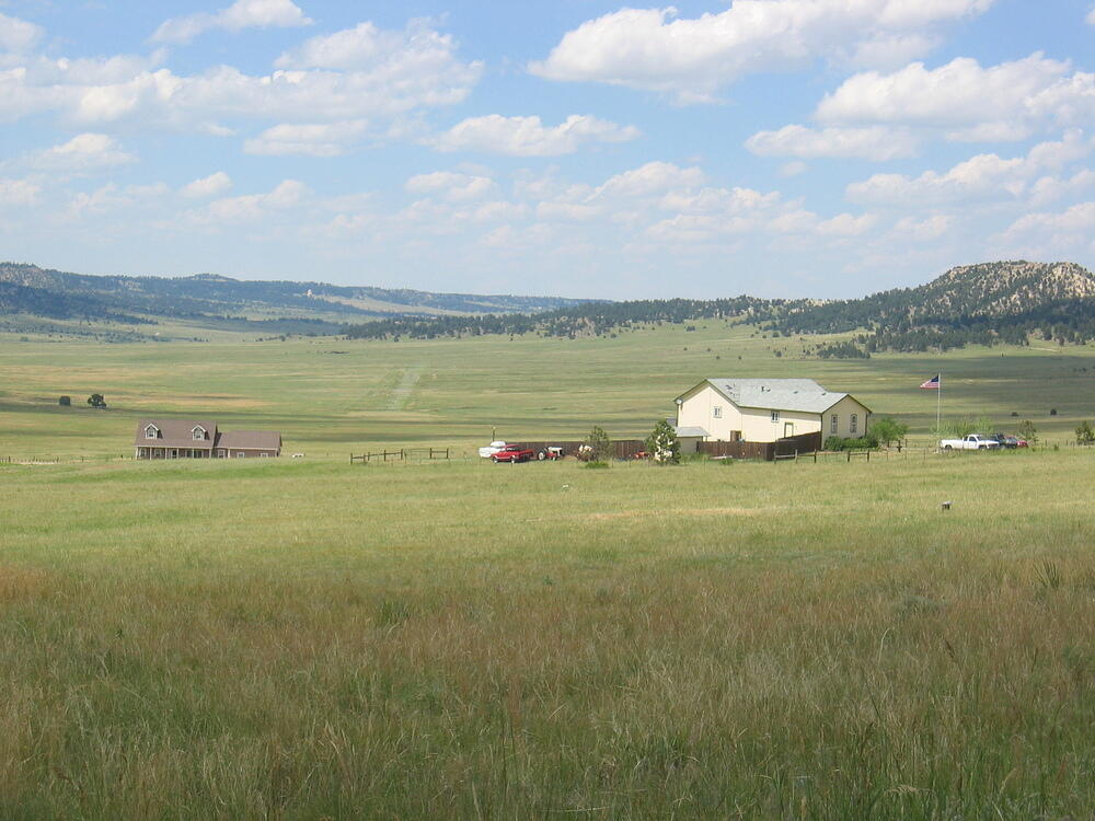 Grass Strip