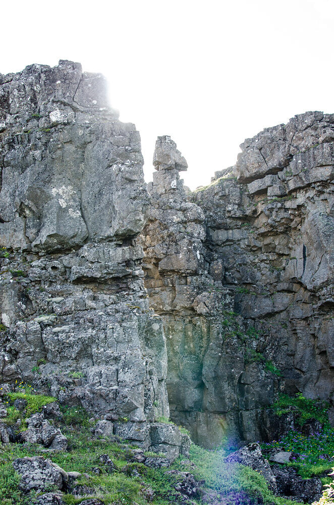 DSC 5335
