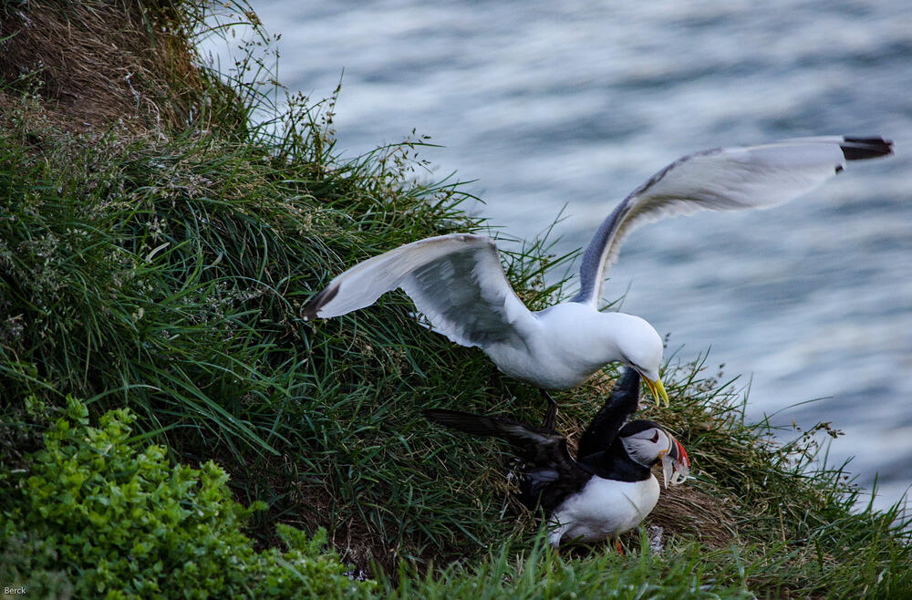 DSC 5647