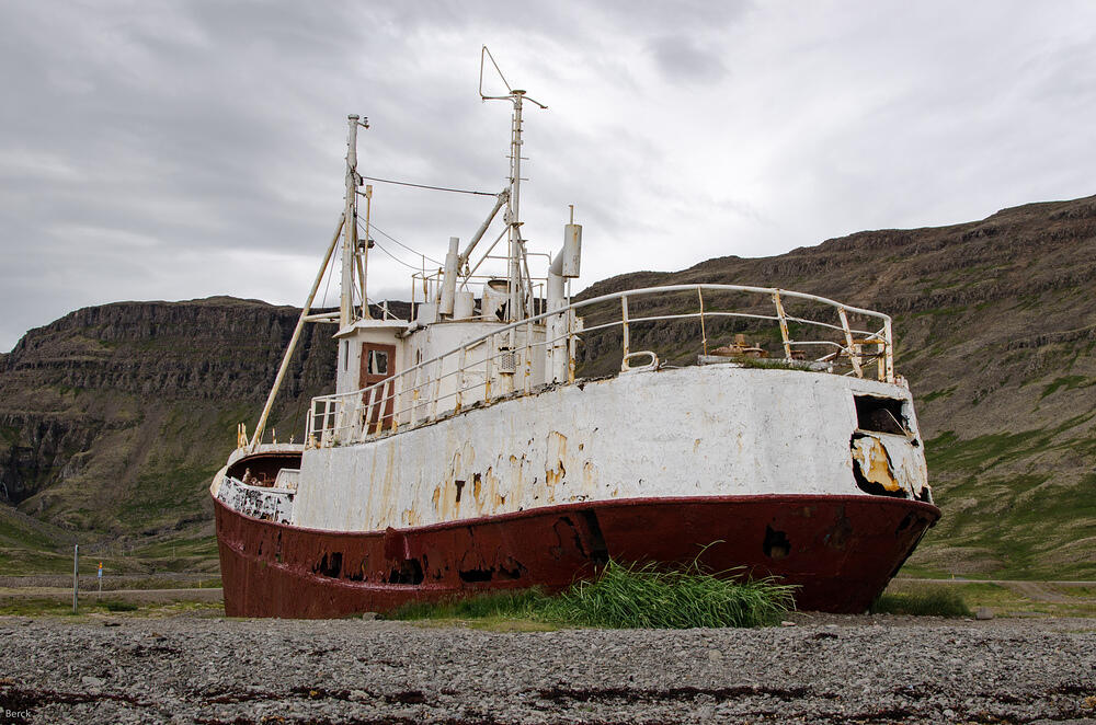 DSC 5704