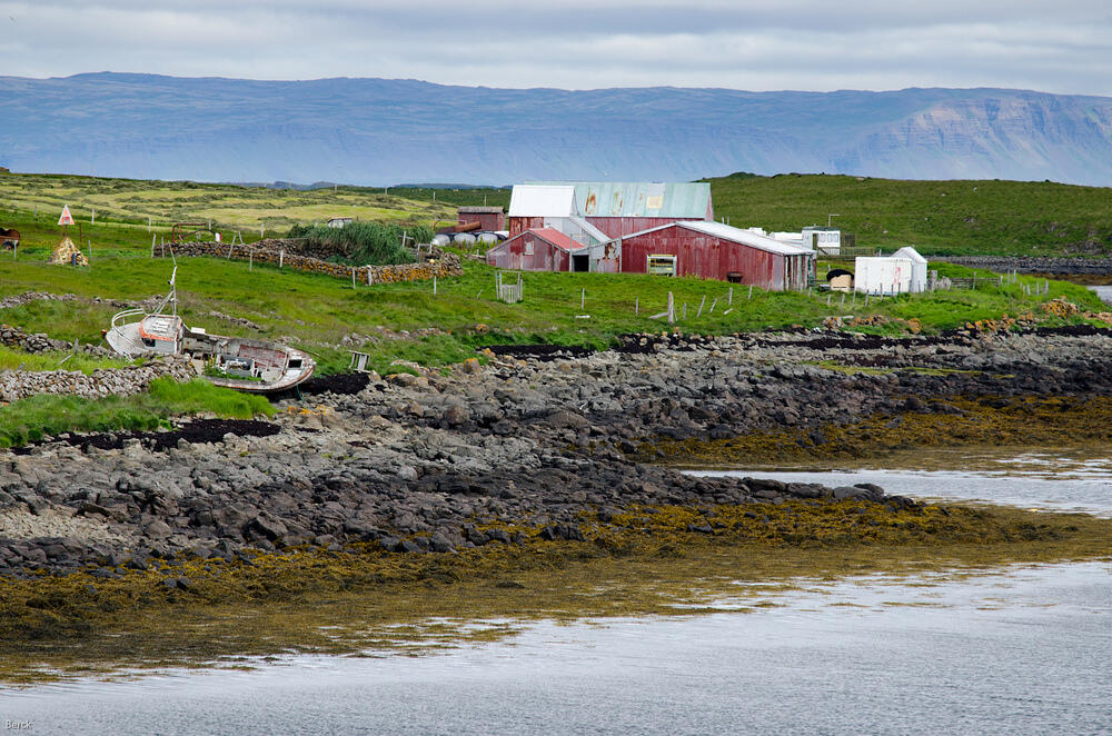DSC 5824