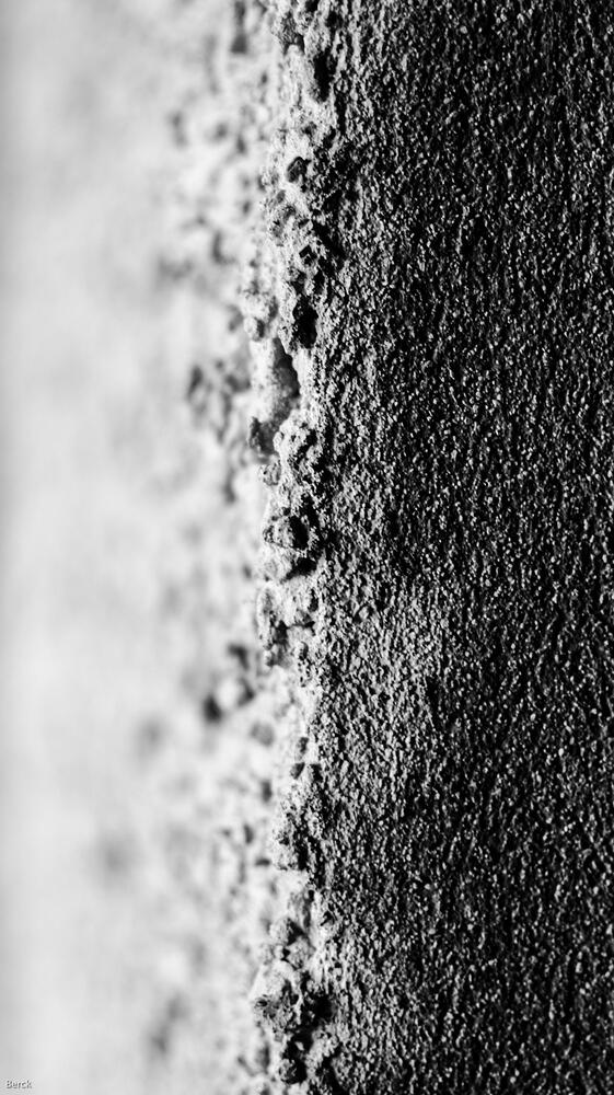 DSC 6025