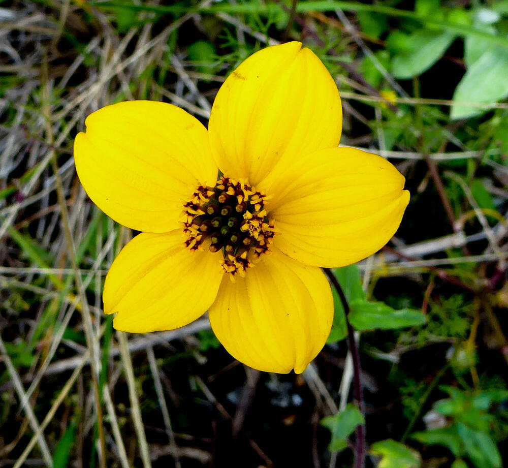 P1000576
