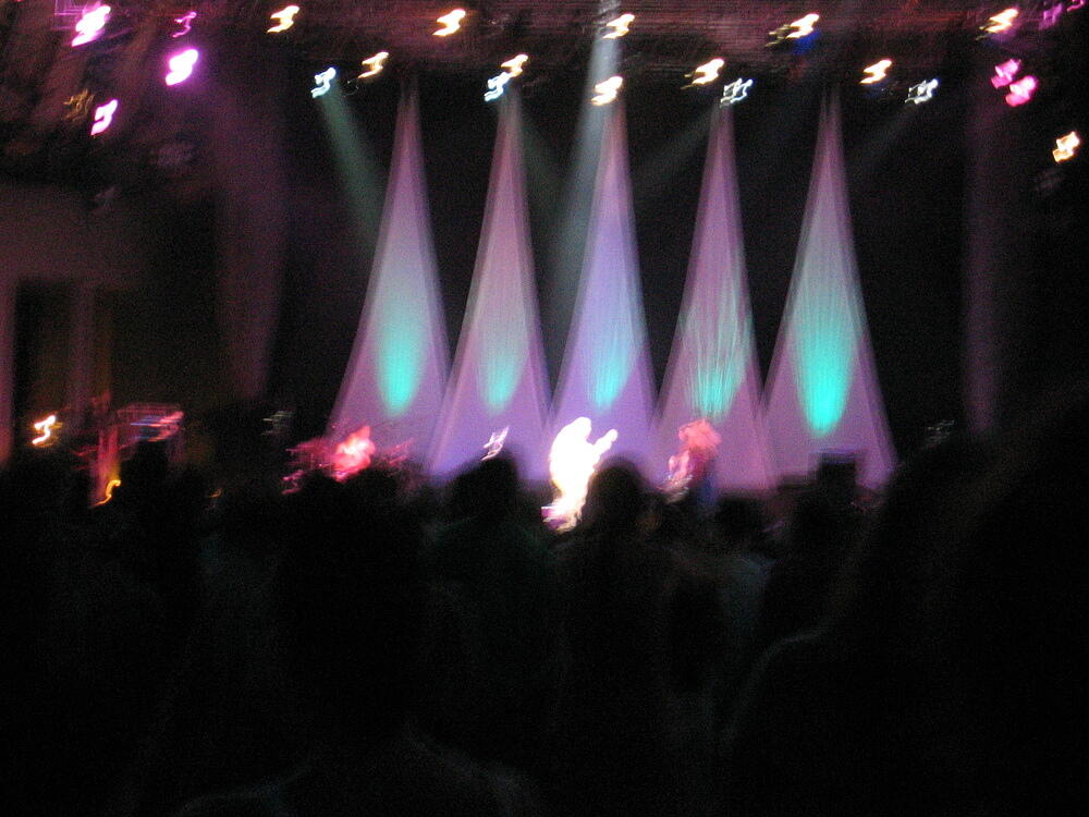 Ani DiFranco concert