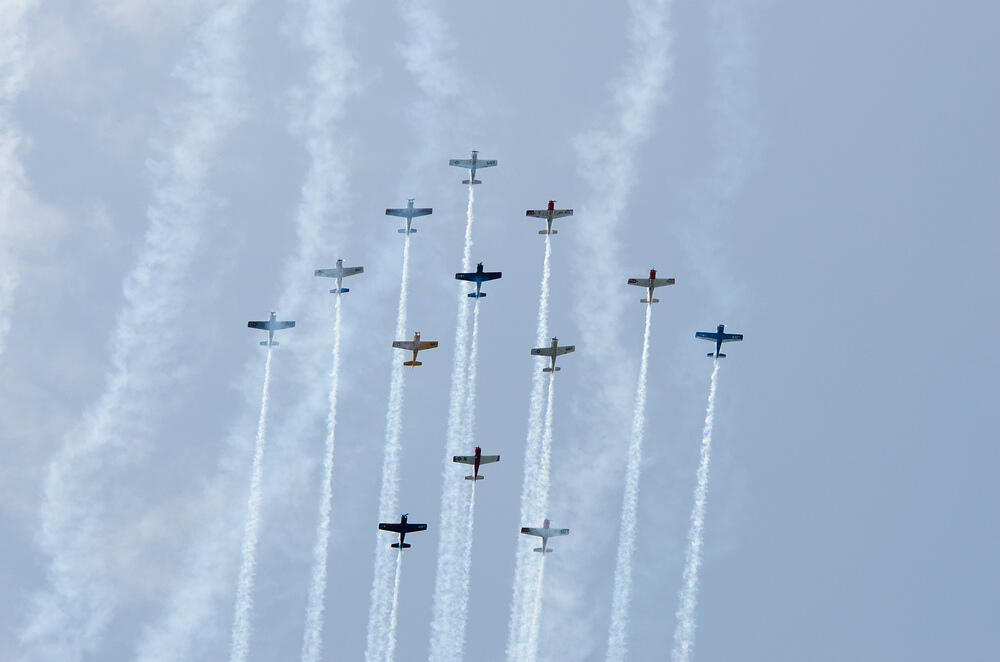 DSC 4603