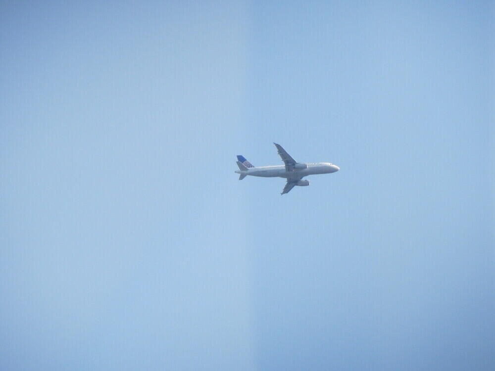 IMG 3122