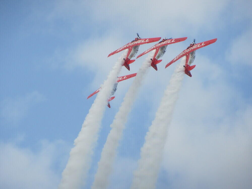 IMG 3293