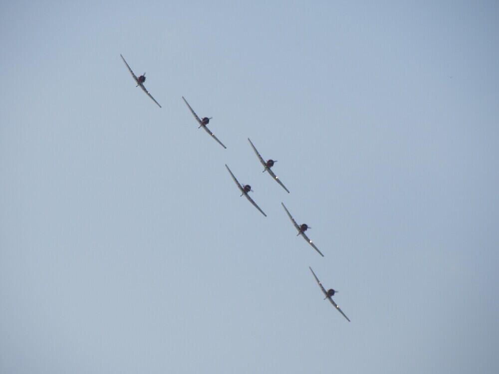 IMG 3501