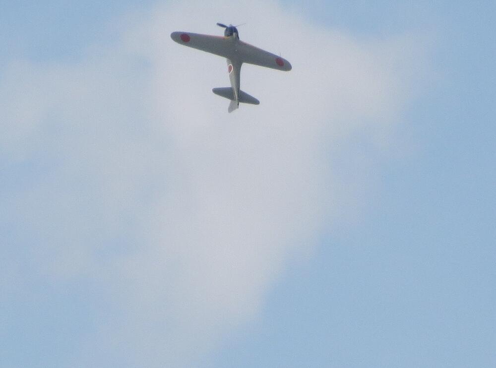 IMG 3552