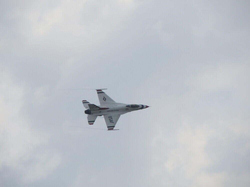 IMG 3622