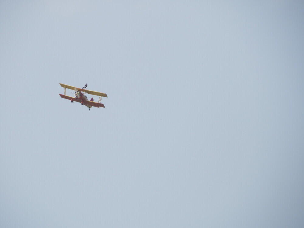 IMG 3668
