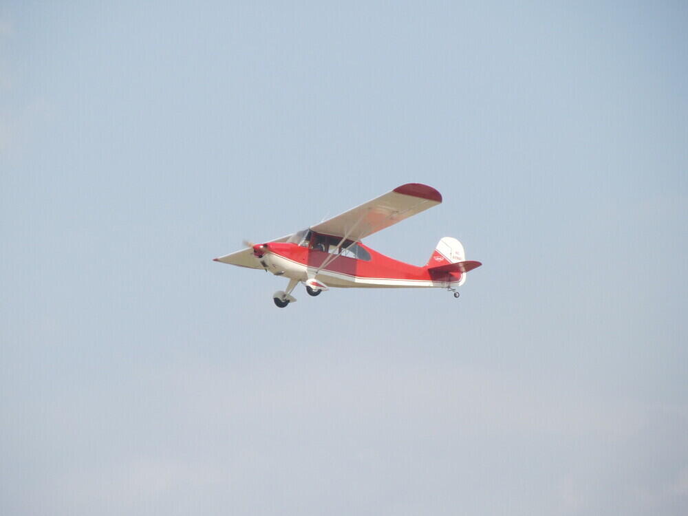IMG 3675