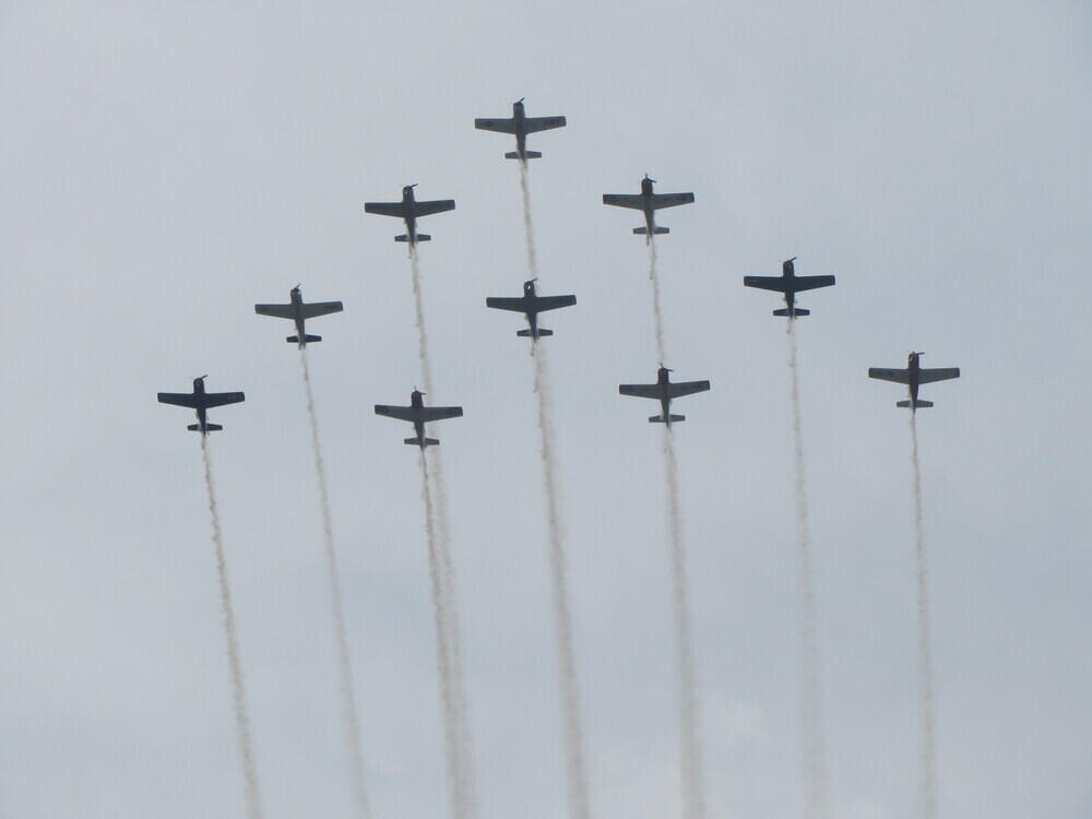 IMG 3694