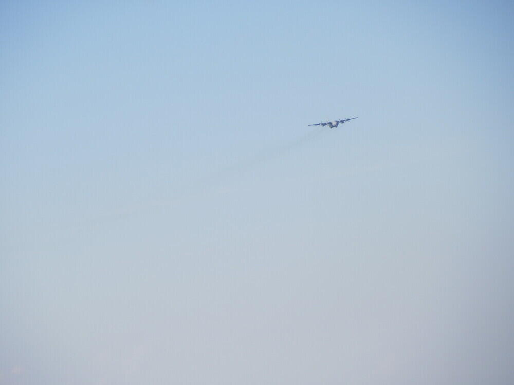 IMG 3746