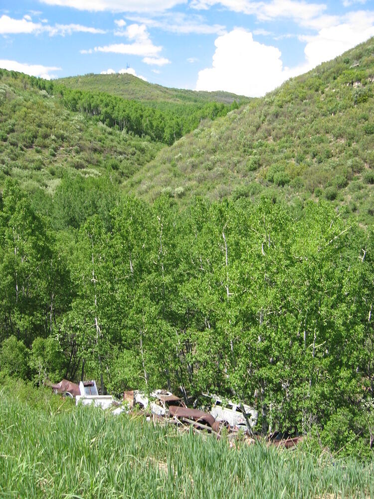 img_0012.jpg