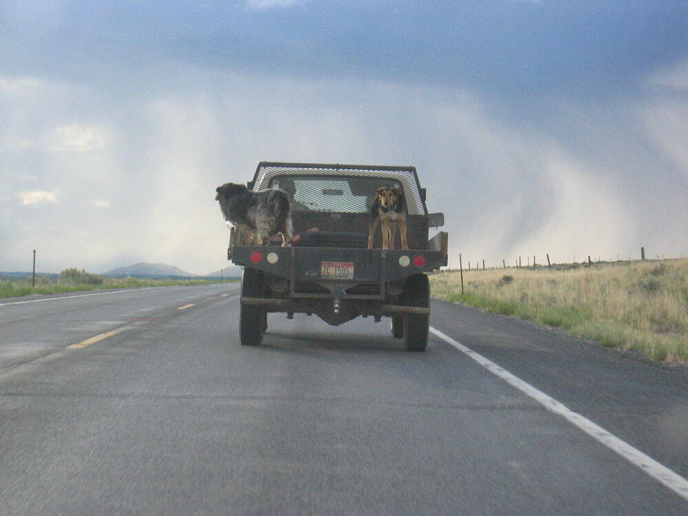 img_0108.jpg