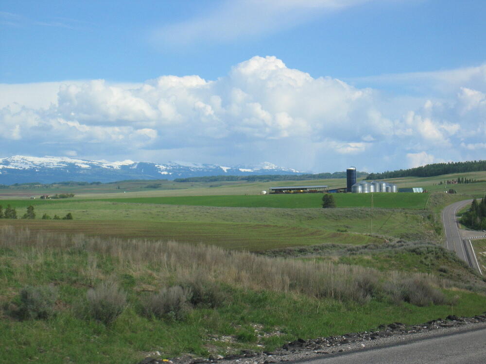 img_0203.jpg