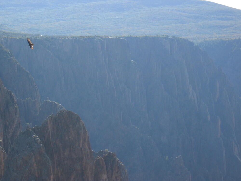 Soaring