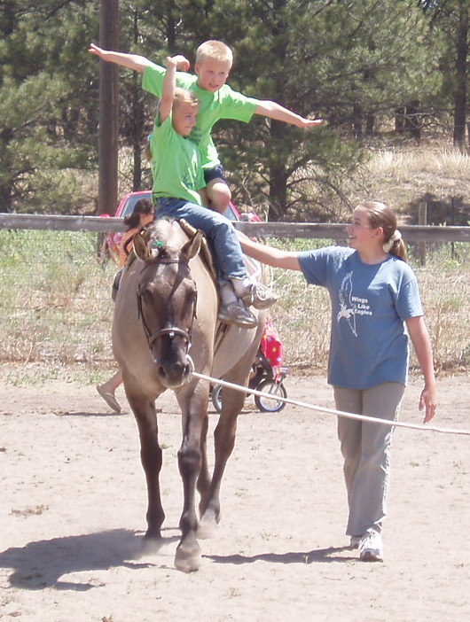 vaulting