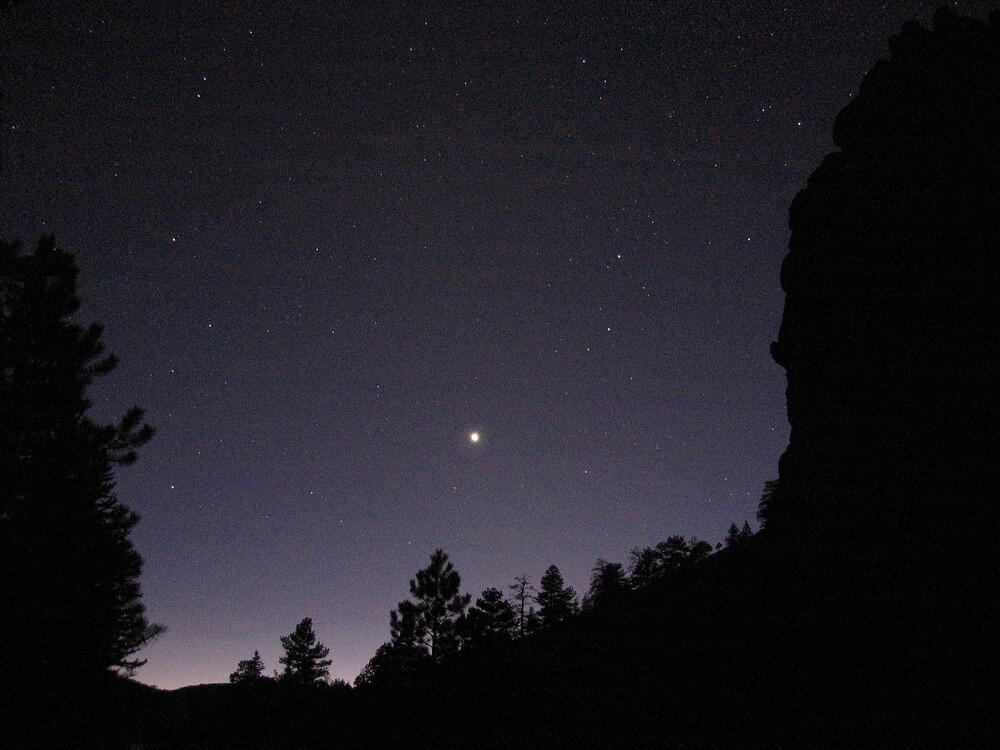 Venus