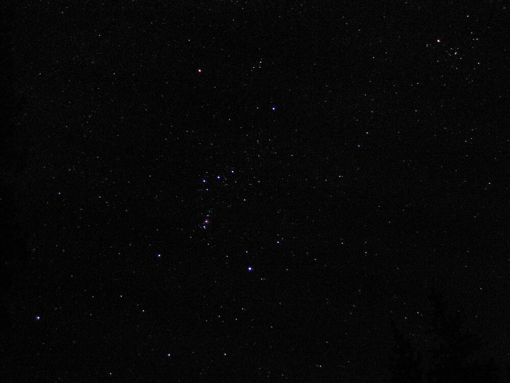 Orion