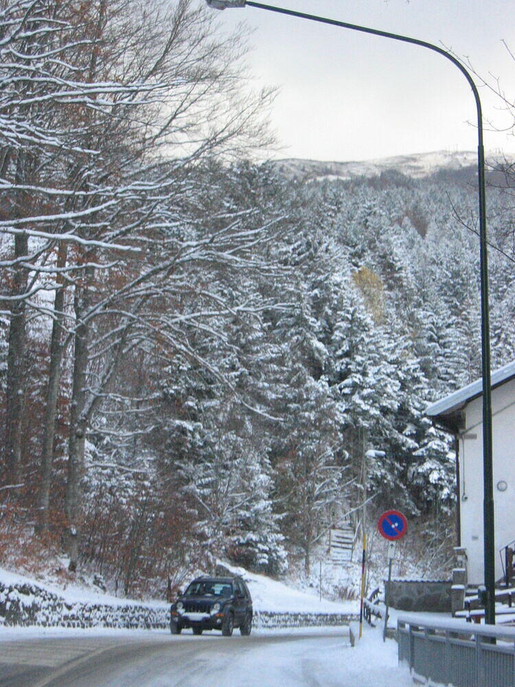 Snowy Road