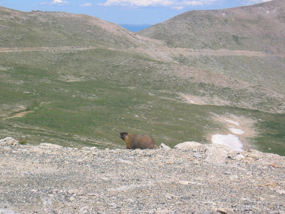 IMG_0017.JPG