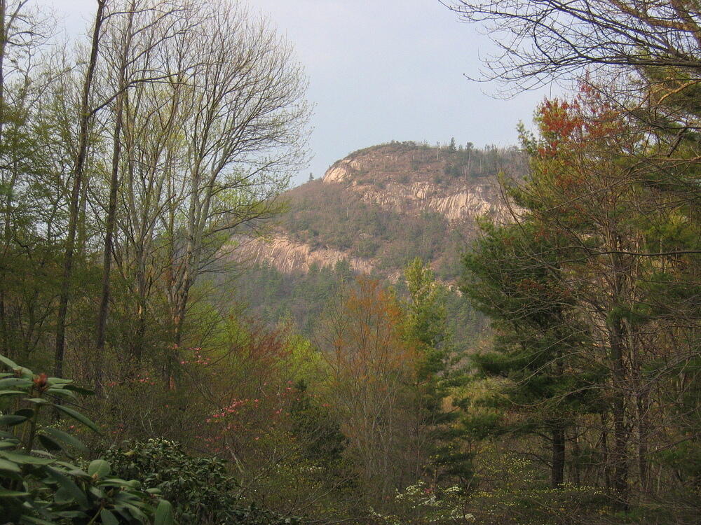img_0093.jpg