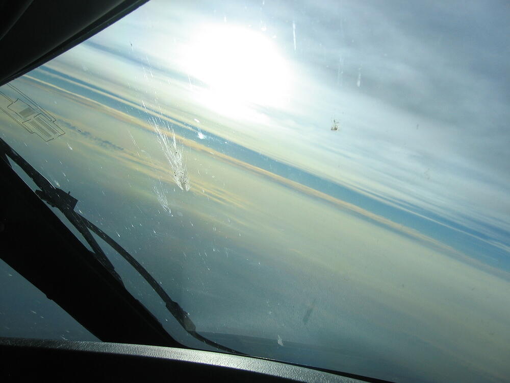 Clouds, Bugs, Sun