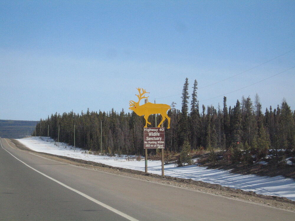 IMG_0012.JPG